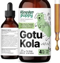 Forever Puppy Gotu Kola gocce per cani - Gotu Kola Extract & Centella Asiatica per il sostegno della salute del cervello - Integratore nutrizionale del cervello per cani di tutte le razze e dimensioni - 4 oz
