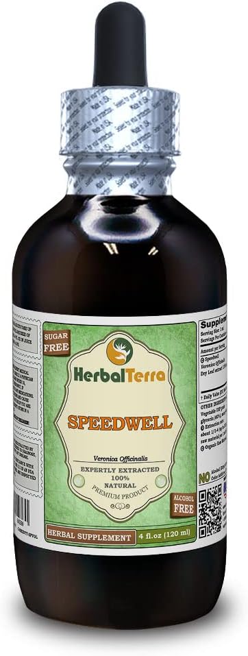 Speedwell (Veronica Officinalis) Glycerite, Organic Dried Leaves Alcohol-Free Liquid Extract (Nome: HerbalTerra, Proudly Made in USA) 4 fl.oz (120 ml)