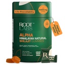 10-in-1 Alpha Shilajit Gummies | 4000 mg Pure Himalayan Shilajit, Tongkat Ali, Maca Root, 75% Acido Fulvico | ShilAbsorb Bioavailability Tech | Zucchero-Free Vegan, 85+ Minerali Trace | 60 Pack