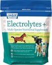 Sav-a-Caf Electrolytes PlusTM Supplemento | 6 Pound (6 LB) Bag