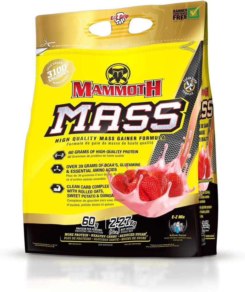 MAMMOTH Messa: Gainer di peso, Smoothie Shake, Sostituzione di pasti, Basso zucchero, Concentrato di isolamento di siero di latte, Miscela di proteine di Caseina, Proteina alta (Strawberry, 5lb)