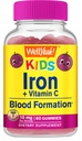 Gummie di ferro di pozzo per i bambini con vitamina C - supporto dell'anemia, formazione di globuli rossi, energia e immunità Gummy di sostegno, Supplementi di ferro per i bambini - OGM Free, Natural Grape Flavor - 60 Conte