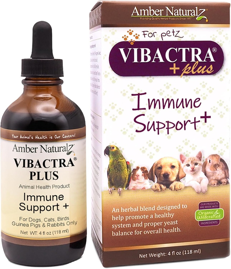 Ambra NaturalZ Vibactra Plus Integratore di erbe per cani, gatti, uccelli, porcellini della Guinea e conigli | Erbe per la salute immunitaria e l'equilibrio del lievito | 4 Bottiglia di vetro dell'oncia fluida