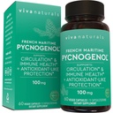 Viva Naturals Pycnogenol - 100mg French Maritime Pine Bark Extract – Supporta Circolazione, Antiossidante-Like Attività, Giunti & Immune Salute e Funzione – 60 Veggie Capsule