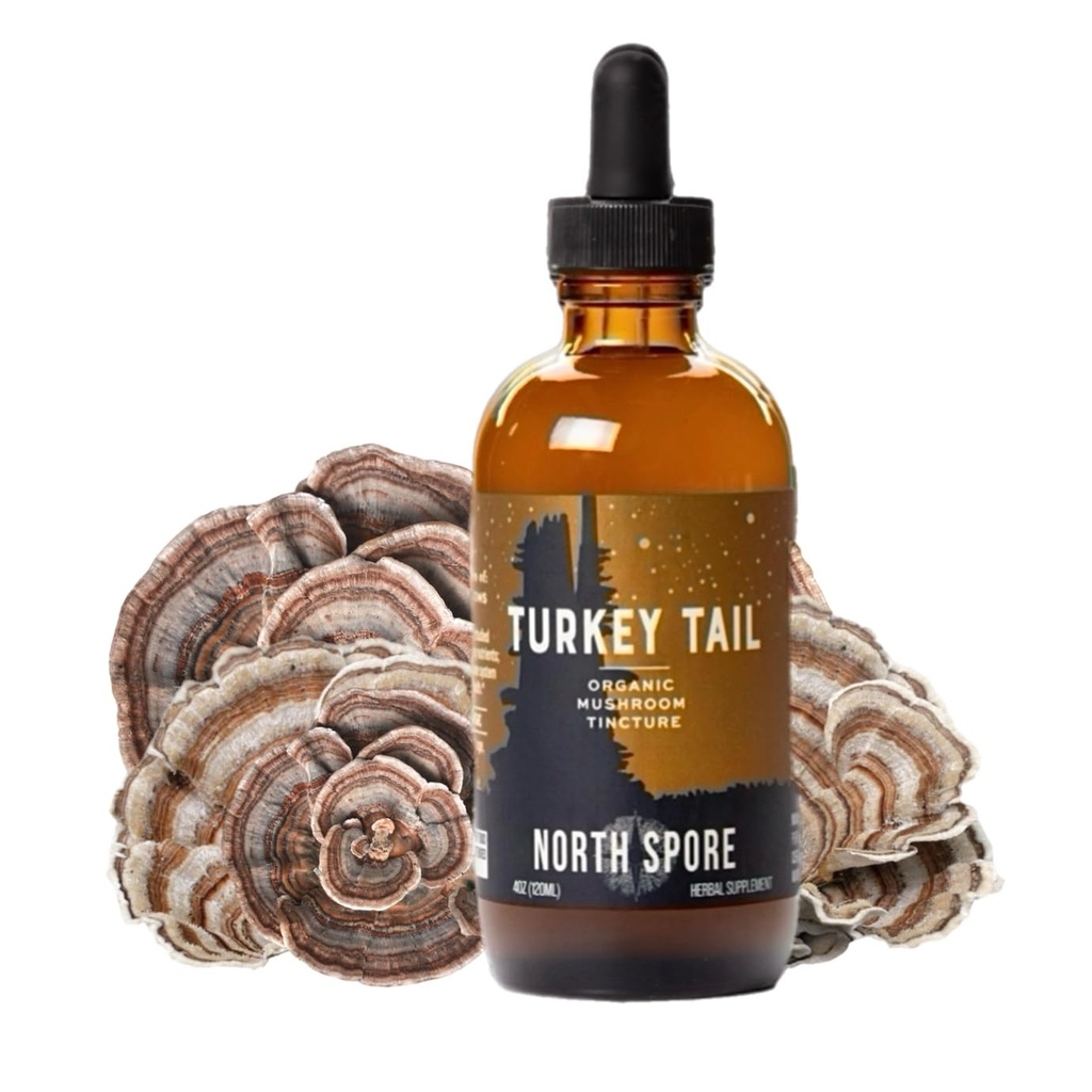 North Spore Organic Turkey Tail Tincture | Mushroom Supplement per il benessere immunitario | Sostenibilmente coltivato e confermato per la potenza | Trametes Versicolor Extract | Vegan, Non-GMO - 4oz