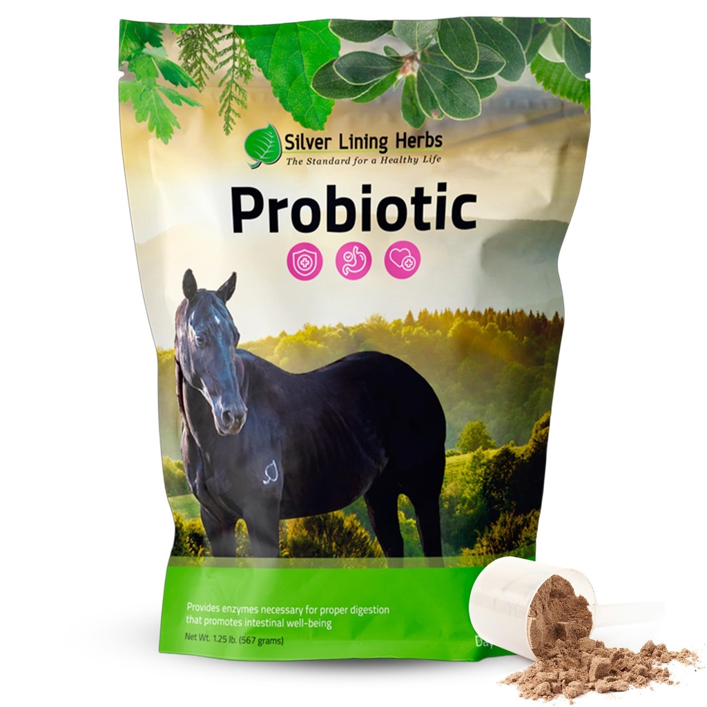 Silver Lining Herbs Probiotics Integratori Digestivi - Digestive Enzyme & Gut Health Probiotic Supplemento per Cavalli - Contiene 13.2 miliardi di CFU Probiotic Strains - 1.25 lb 60-Day Supply