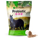 Silver Lining Herbs Probiotics Integratori Digestivi - Digestive Enzyme & Gut Health Probiotic Supplemento per Cavalli - Contiene 13.2 miliardi di CFU Probiotic Strains - 1.25 lb 60-Day Supply