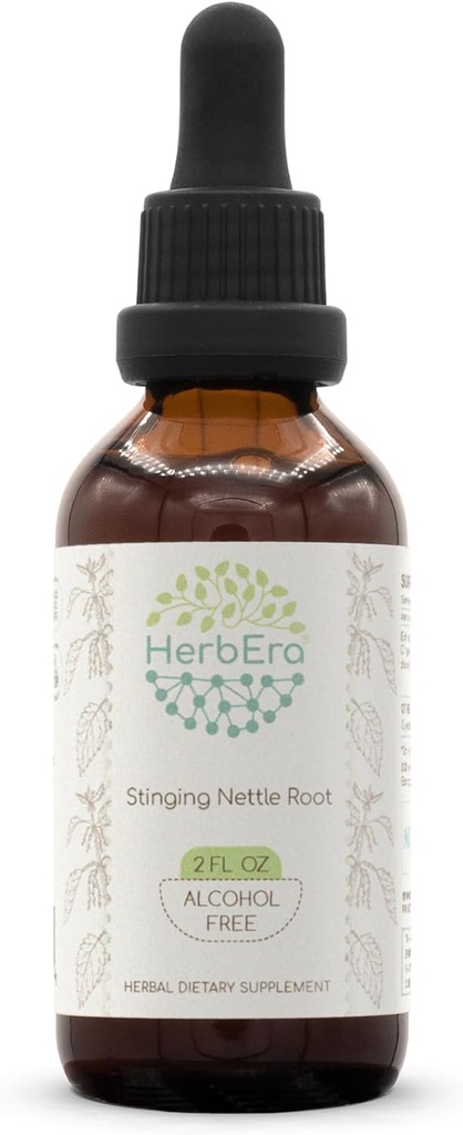 HerbEra Sting Nettle Root B60 Alcohol-Free Estratto di erbe Tintura, Concentrated Liquid Drops Natural Sting Nettle (Urtica Dioica) 2 fl oz