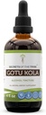 Segreti della Tribe Gotu Kola Tincture Alcohol Estratto liquido, Gotu Kola (Centella Asiatica) Erbe secca (4 FL OZ)