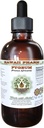 Estratto di liquido privo di alcool di ciliegia africano, Pigeo di ciliegia africano (Prunus Africana) Bark Glycerite integratore naturale di erbe, Hawaii Pharm, USA 4 oz