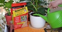 Vertice... soluzioni responsabili Mosquito Bits per insetti, 30 Ounce