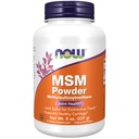 NOW Integratori alimentari, MSM (metilsulfonilmetano) Polvere, Supporta Cartilage sano*, Salute comune*, 8-Oncia