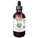 Brahmi Alcohol-Free Liquid Extract, Organic Brahmi Liquido (Bacopa Monnieri) Tutto Dried Herb Glycerite Hawaii Pharm Natural Herbal Supplement 2 oz