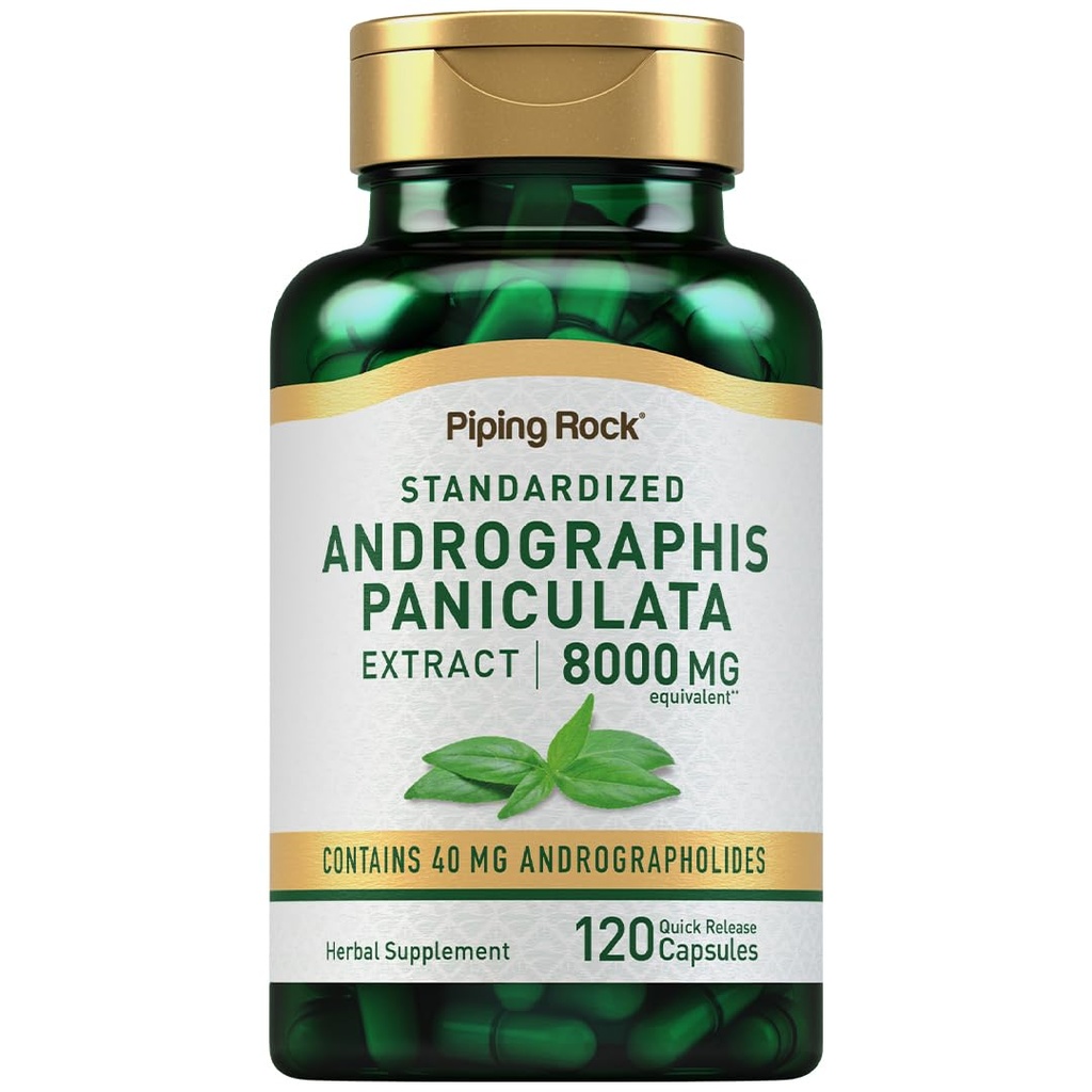 Piping Rock Andrographis Paniculata Extract | 8000 mg | 120 capsule | Integratore di erbe standardizzato | Non-GMO, Gluten Free