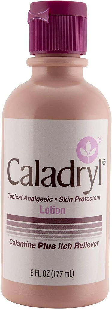 Caladryl Pink Calamine Skin Protectant Plus Itch Relief, 6 Ounce Bottiglia (2 Pacchetti (6.0 Ounce))