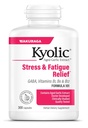 Estratto di aglio Kyolic Aged Formula 101, Stress e Fatigue Relief, 300 capsule.