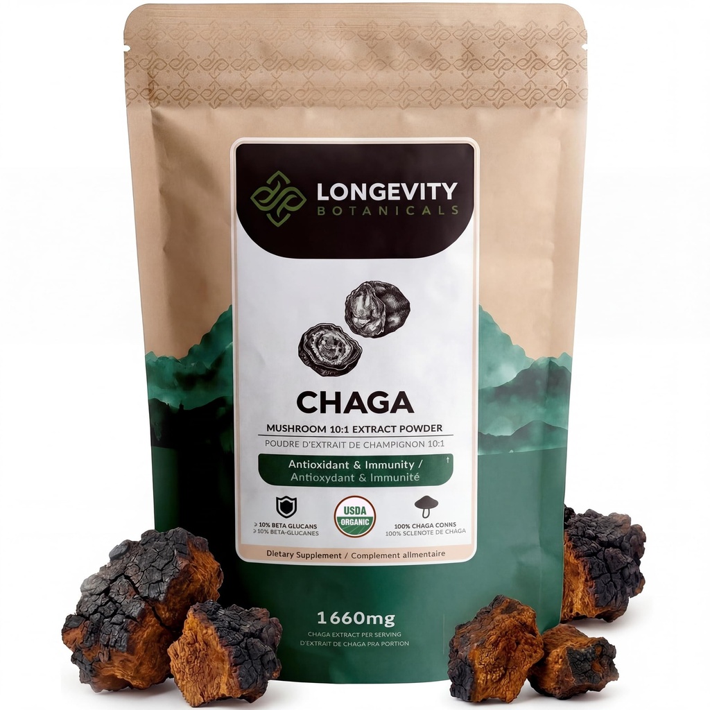 Polvere organica dell'estratto del fungo di Chaga 100g | Concentrato 10:1 Ratio | 100% degli organismi di frutta | Integratore naturale dell'oblio di Inonotus per la funzione immunitaria, antiossidanti e vitalità
