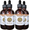 Sega Palmetto Liquid Extract, Sega Organica Palmetto (Serenoa Repens) Tintura, Integratore di erbe, Hawaii Pharm, Made in USA, 4x4 fl.oz