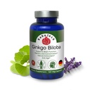 Ginkgo Biloba, Memoria, Focus & Brain Function Support, Antiossidante-Rich, Plant-Based, GMP, Herbal Nootropic Capsule Vegetariani, 120 Conte (Pack of 1)