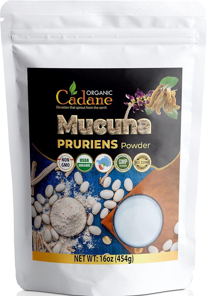 Organic Cadane Mucuna Pruriens Polvere 1 Pound | promuove la salute del cervello, supporta il sistema immunitario, l'energia | USDA Certified Vegan-Friendly Supplements | Pure Natural Velvet Beans Extract from India