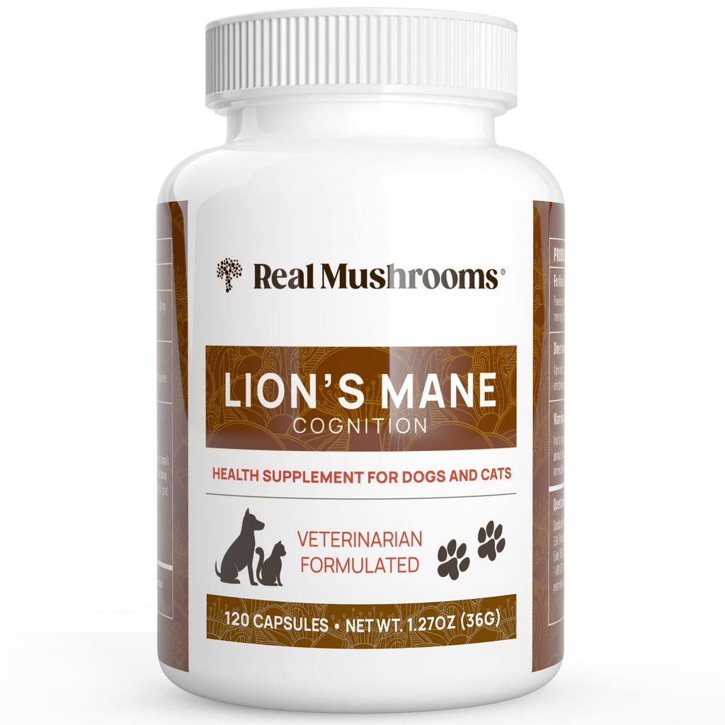 Real Mushrooms Lion’s Mane Pet Mushroom Supplemento – Pet Wellbeing Capsules – per Cat & Dog Supplement & Vitamins – Support Mindful Routines – Organic, Vegan, Non-GMO, 120 Count
