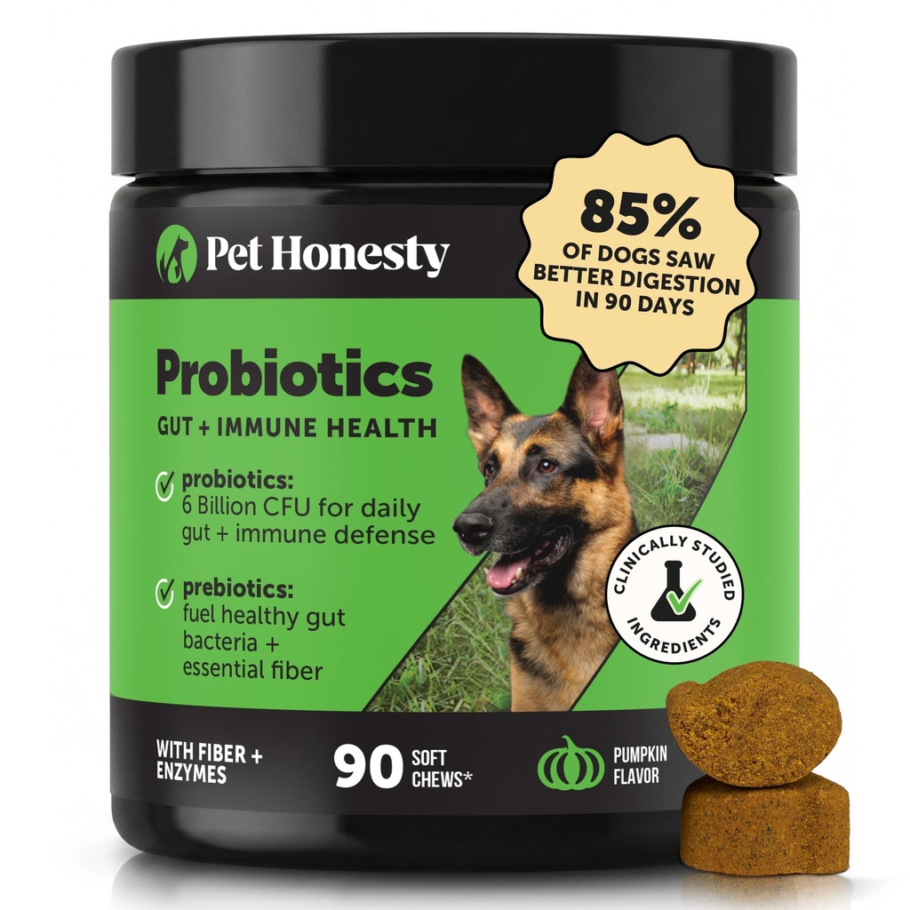 Probiotici per cani per la diarrea occasionale e il supporto per gli animali domestici, enzimi digestivi con prebiotici per la salute del fegato per i cani, salute dell'immunità e sollievo dell'immunità (Pumpkin 90 ct)