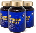 Cetriolo di mare, Estratto di pesce selvatico Cetriolo di mare, Supplemento di Estratto naturale, Antiossidante naturale eccellente, Costruttore immunitario, Protezione del cartilage - 90 capsule, 500mg/bottiglia - Tre bottiglie