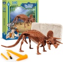 Geoworld Triceratops Dino Dig Kit – Assemblare un modello di scheletro di dinosauro autentico da 8 pollici – Ultimate STEM Learning Experience per bambini Età 6+