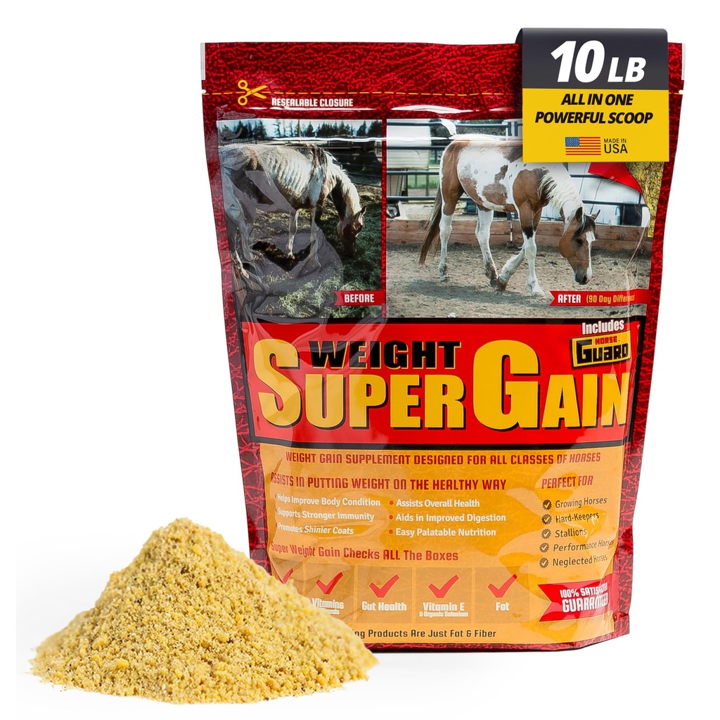 Super peso guadagno 10 lb, vitamina Equine minerale, Probiotico e supplemento di peso