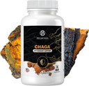 Chaga Mushroom Gummies — Antiossidante Integratore di Supporto Immune - Integratore Dietetico Mushroom - 60 Gummies - Made in USA - Trucchi per la Salute - Organic Vegan Frendly