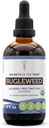 Bugleweed USDA Organic | Alcohol-FREE Extract, High-Potency Herbal Drops, Respiratory System | Realizzato in 100% certificata Bugleweed Organic (Ze Lan, Lycopus Virginicus)