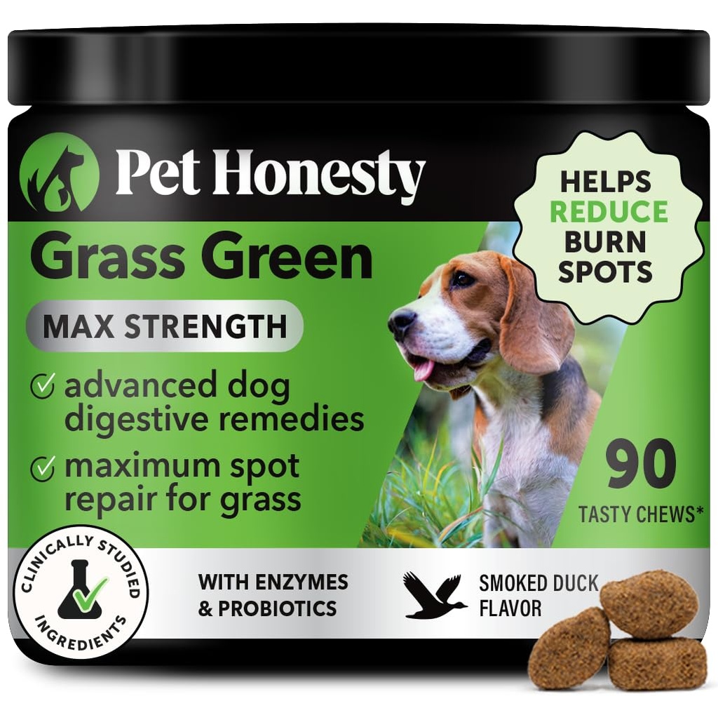 Grass Green Max Strength Chews for Dogs – Premium Dog Urine Prato Spot Saver Supplement – Supporta la digestione sana, Gut & Urinary Health con Probiotici, DL-Methionine & Yucca (90ct Duck Flavor)