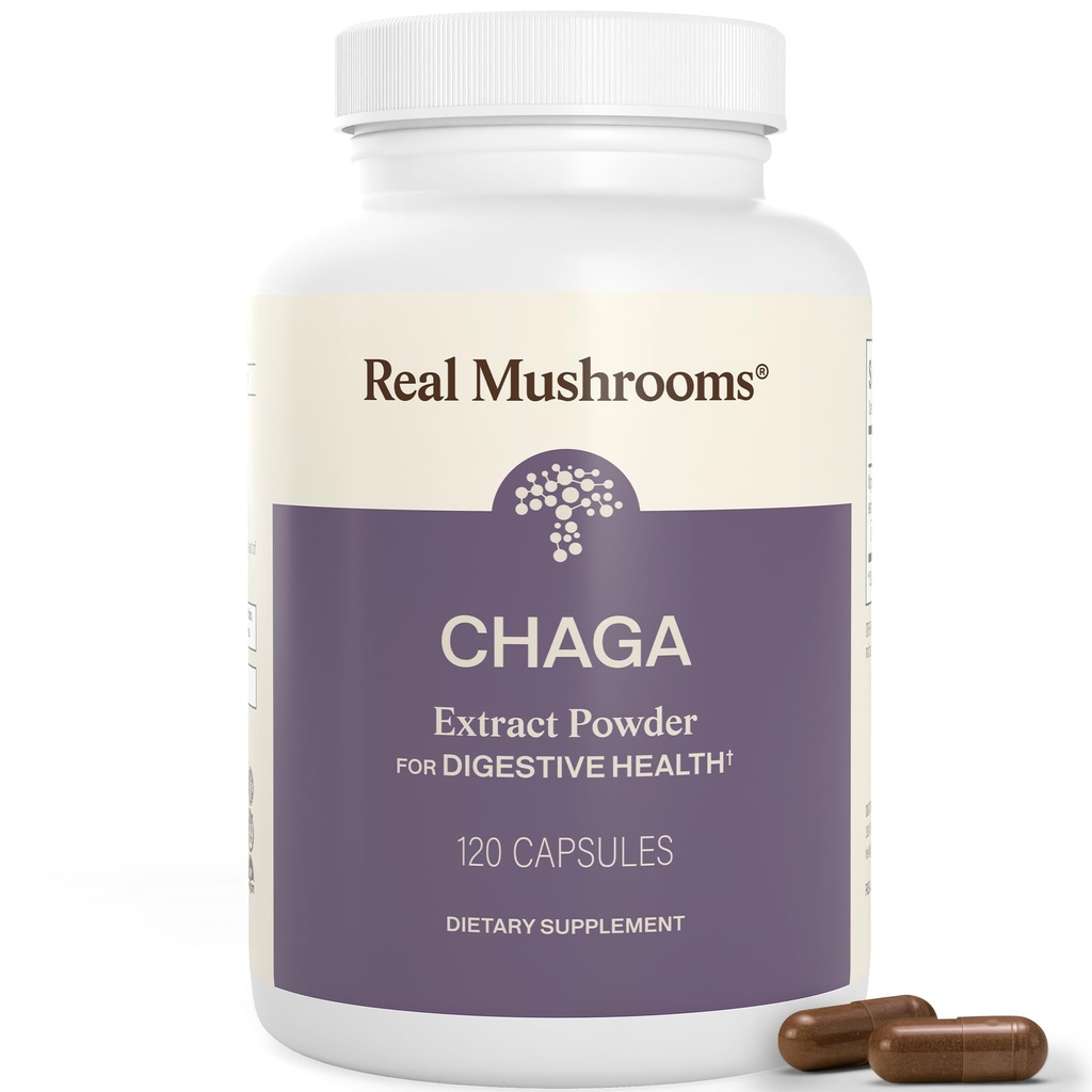 Funghi reali Chaga Mushroom Capsule – Polvere di Estratto di Chaga Organico con Estratto di Polvere per il benessere e il supporto energetico – Vegan, Non OGM, 120 capsule – Integratore di funghi biologico