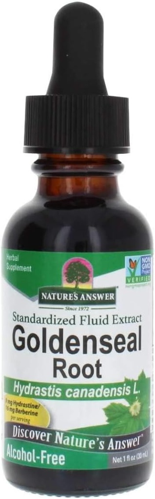 Risposta della natura Golden Seal Root Extract Alcohol Free 1 Ounce | Natural Immune Booster | promuove la salute polmonare