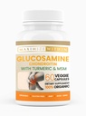 Glucosamina Chondroitin con Turmeric & MSM – Mobility & Flexibility Support – 60 capsule vegetali