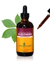 Herb Pharm Eleuthero (Siberian Ginseng) Estratto liquido di radice per energia e Stamina, Cane Alcohol, 4 oncia