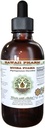Estratto di liquido senza alcool di Muira Puama (Ptychopetalum Olacoides) Integratore naturale di erbe di glicerite, Hawai Pharm, USA 4 oz