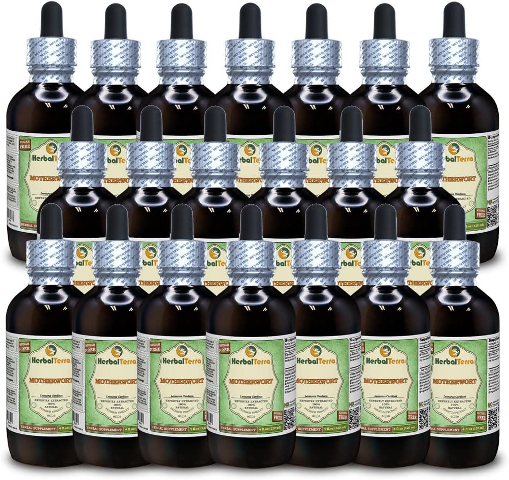 Motherwort (Leonurus Cardiaca) Glycerite, Estratto di liquido senza alcool di erbe (Nome: HerbalTerra, Proudly Made in USA) 20x4 fl.oz (20x120 ml)