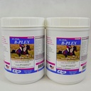 SU-PER B-Plex Powder Equine Vitamins - Integratore completo di B-Complex di vitamine e minerali - Hoove sane, globuli rossi, polvere di calma del cavallo - 2.5 Pounds, (2 Pack)