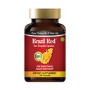 Brasile Red Bee High Concentrate Propolis (120 capsule)