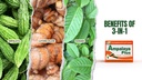 Ampalaya Plus 550mg 90 Capsule - Confezione da 1 - con Banaba, Ginger Turmeric e Bitter Melon di Ampalaya Plus - Suplements Halal Herbal
