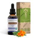 Segreti della Tribe California Poppy Tincture Alcohol-Free Liquid Extract, USDA Organic California Poppy (Eschscholzia Californica) Dried Root (2 FL OZ)