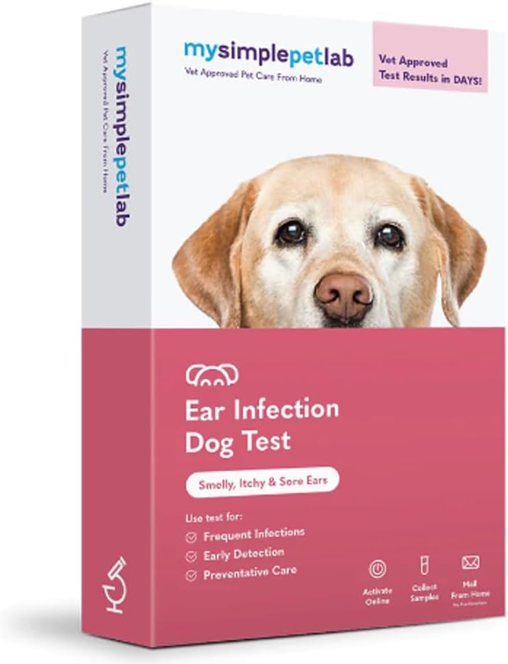 MySimplePetLab Dog Ear Infection Test Kit, Vet approvato, Rileva il lievito e batteri, Mail-in Kit, Risultati rapidi, Facile a-Home Usa per Smelly, Itchy Ears, Supporti Dog Ear Health