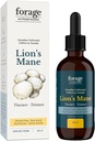 Tintura Mane del leone, con estratto di funghi Premium, per il miglioramento della memoria e il supporto Nerve, doppio estratto, senza alcool, 60 ml