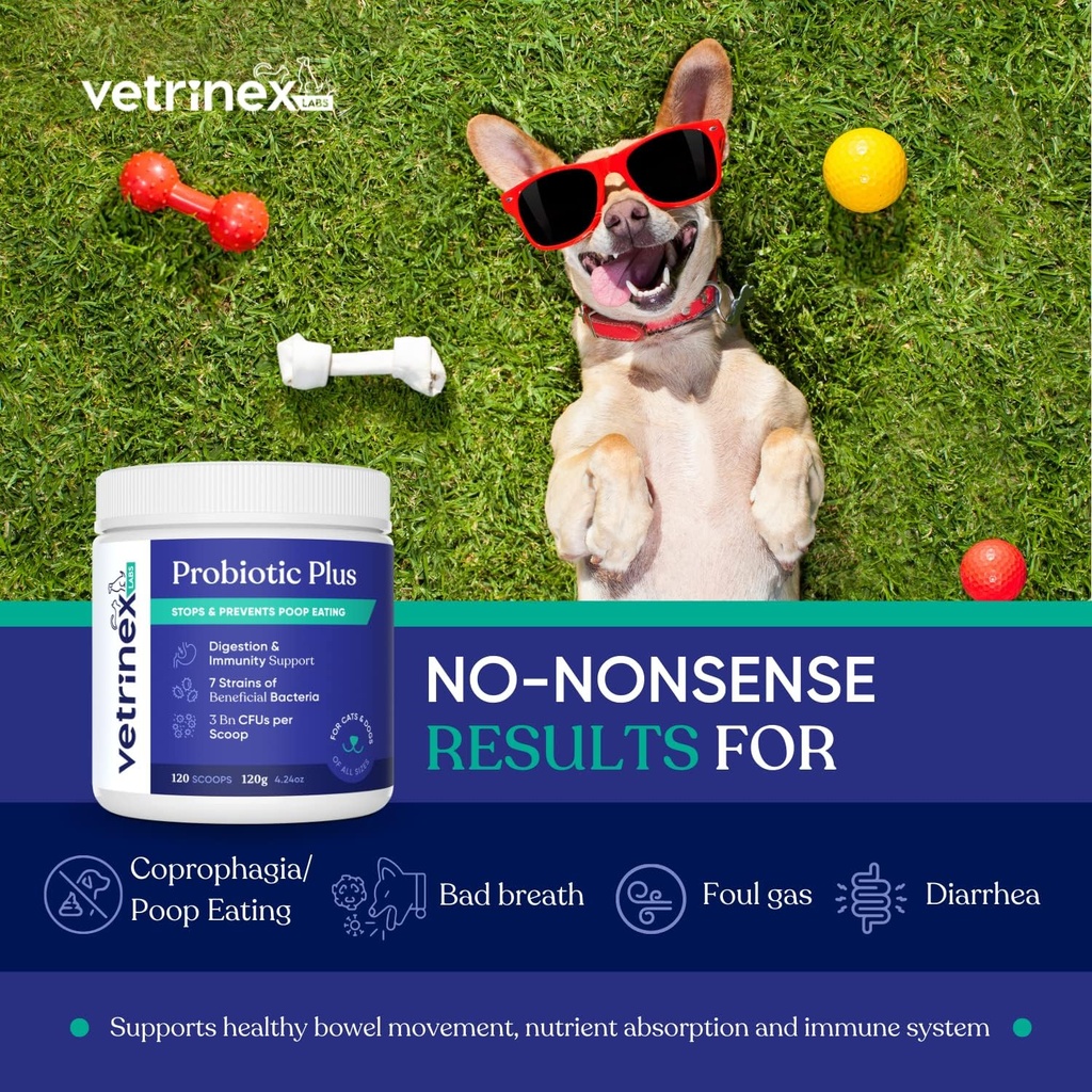 Coprophagia Poop Mangiare Deterrent & Prevenzione, Stop & Prevenire Sgabello Eating Treatment - Probiotici per Cani, Gatti e Cuccioli - Proibisce il Cane da Mangiare Poop - Polvere Probiotica (120 GMS)