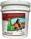 CVM - Vitamine di cavallo - Integratore di vitamina e per cavalli - Integratori di cavalli - Cappotto sano e brillante - Selenio - Integratori di alimentazione - Mineral Vitamin Complex (Big)