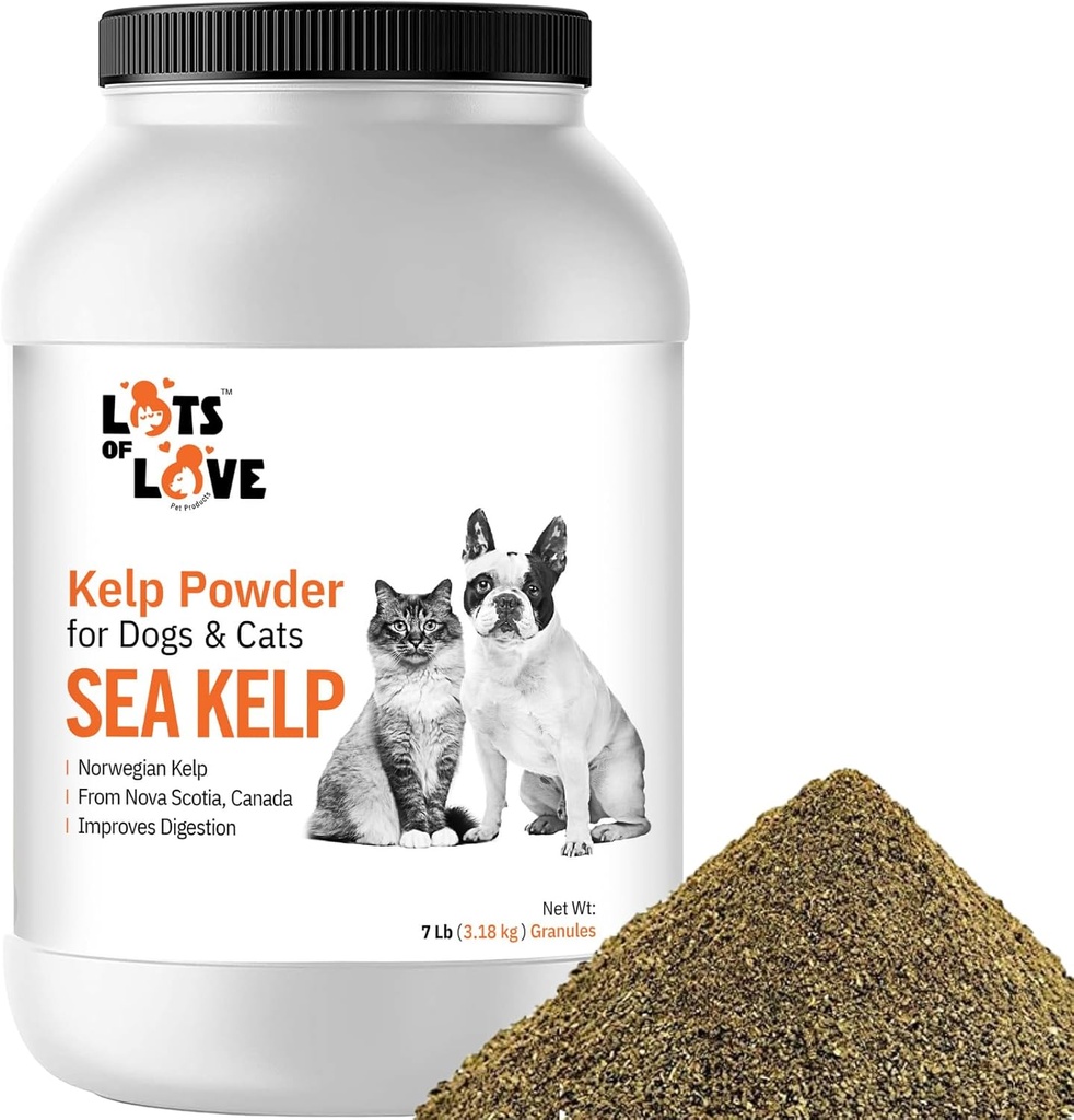 Polvere di kelp del mare organico (7 Pounds, 3.2 KG), supporto di iodio e tiroide per il cane & gatto, supplemento di polvere di kelp norvegese da un sacco di amore