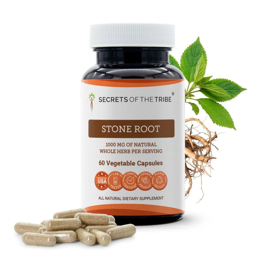 Segreti della Tribe Stone Root 60 capsule, 1000 mg, Responsabile allevato Stone Root (Collinsonia Canadensis) Radice secca (60 capsule)