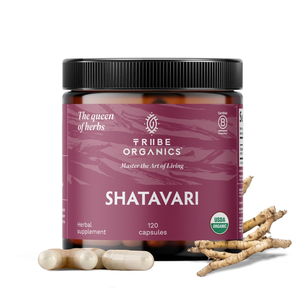 TRIBE ORGANICS Organic Shatavari Herbal Supplement - bilancia ormonale | Salute riproduttiva femminile | Lattazione | Supporto immunitario e infiammatorio - Non OGM USDA Organic 120 Vegan Capsule