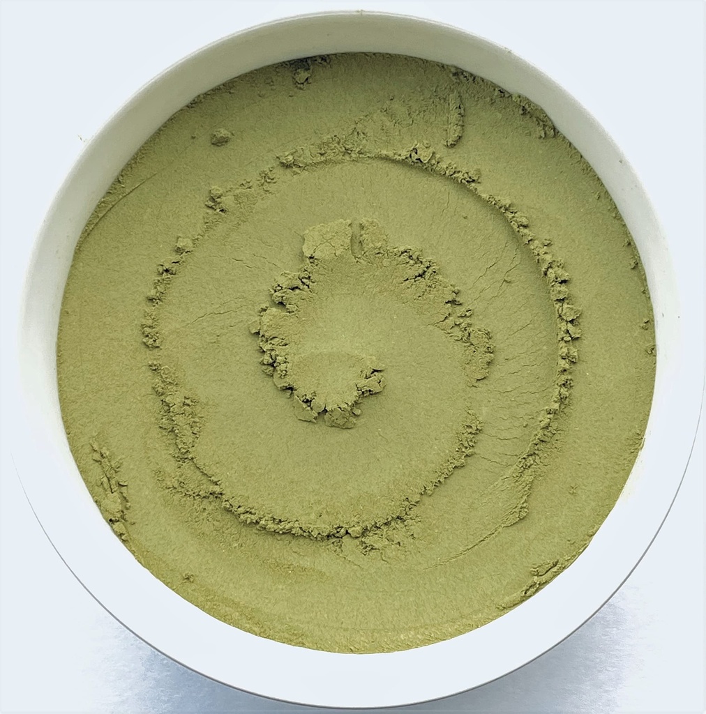 Polvere della foglia di Ginkgo Biloba 16oz The Bloomin Herb Shoppe No Additives No Chemicals Tea